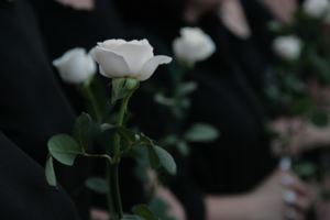 white flowers at wrongful death funeral