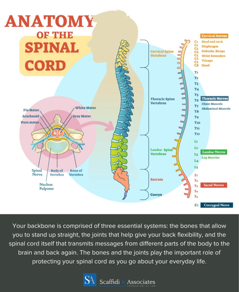 Car Accidents and Spinal Cord Injuries — What You Should Know ...